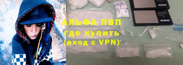 дживик Новозыбков