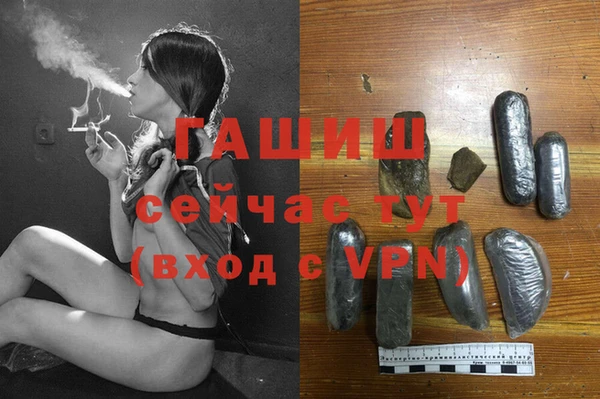 сатива Нефтекумск