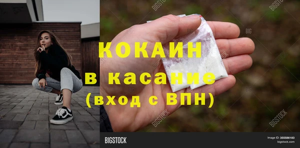 дживик Новозыбков
