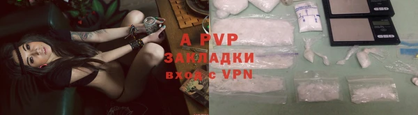 a pvp Нея