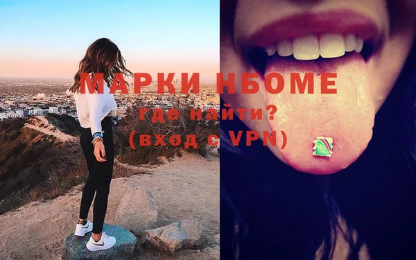 сатива Нефтекумск