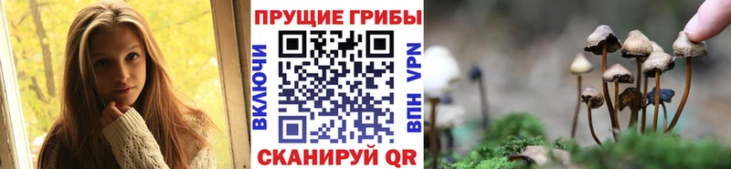 Псилоцибиновые грибы мухоморы  купить  сайты  Минусинск 