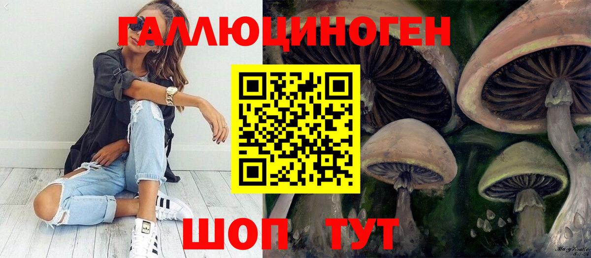 сколько стоит  Галлюциногенные грибы GOLDEN TEACHER  Псилоцибиновые грибы мицелий  Вход с VPN  Минусинск 
