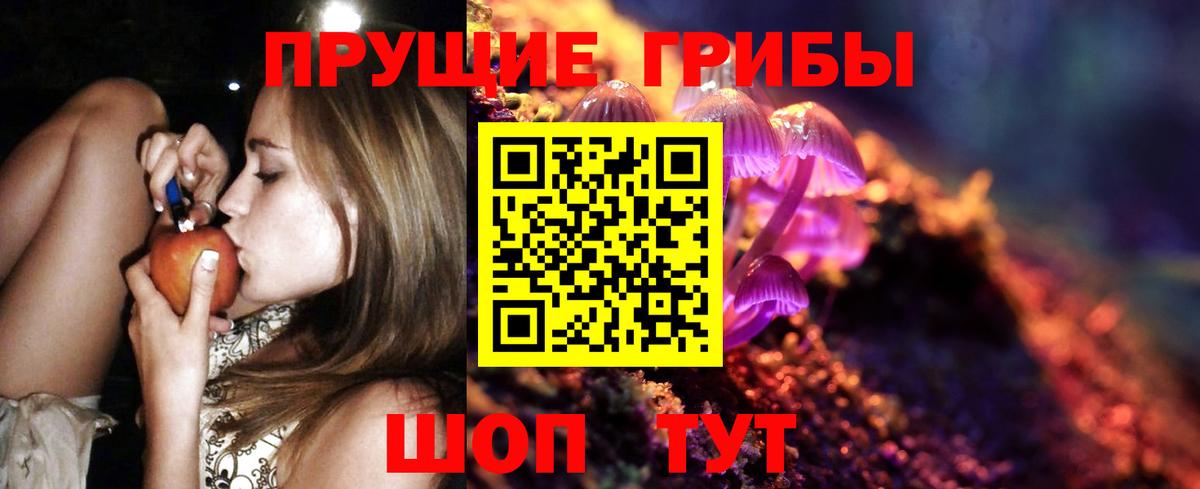 Псилоцибиновые грибы мухоморы  Минусинск  купить закладку  Псилоцибиновые грибы мицелий 